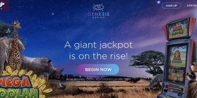 kassu slots Explained