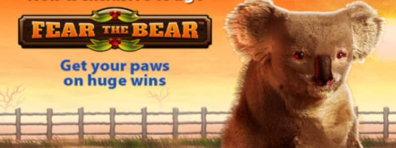 Fear The Bear BGO Promo