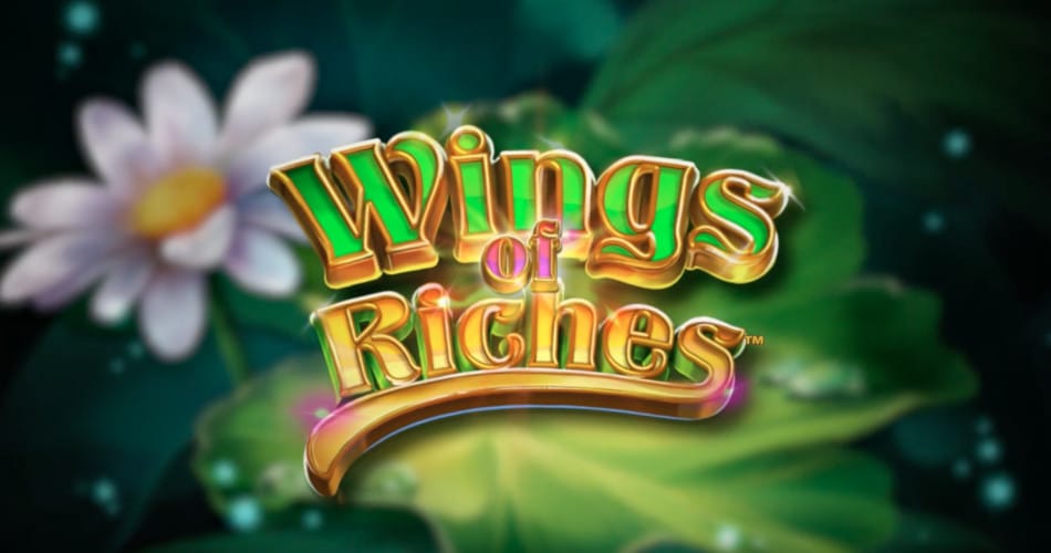 Wings Of Riches