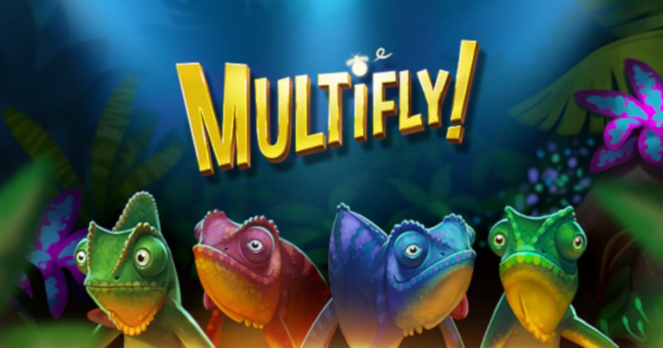 Multifly Logo