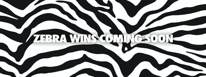 Zebra Wins Wallpaper