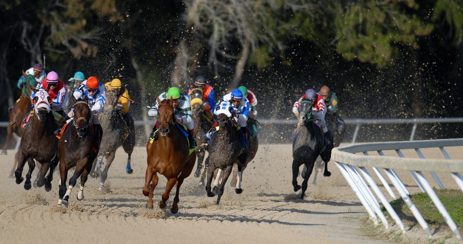 Grand National Horse Racing