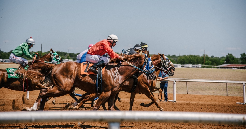 BGC Britannia Stakes Donations