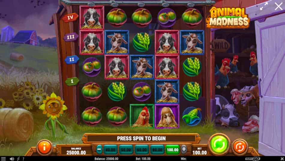 Animal Madness Slot Reels