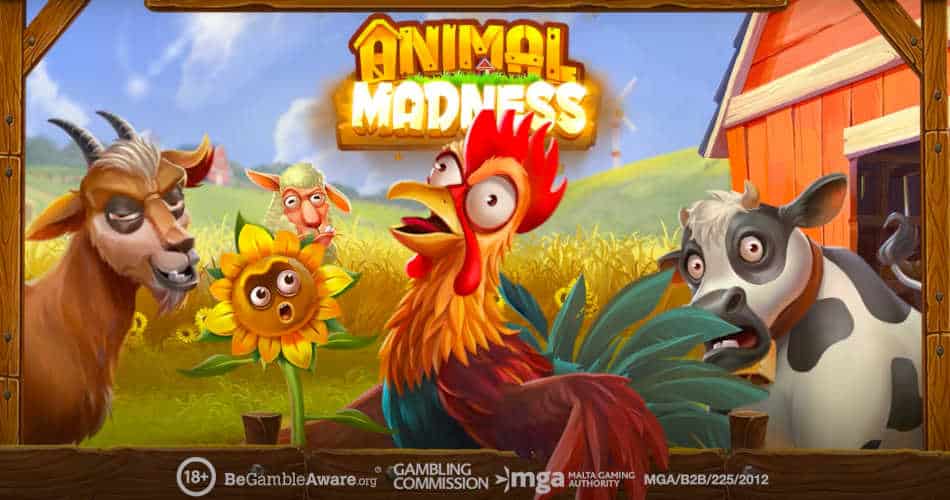 Animal Madness Slot