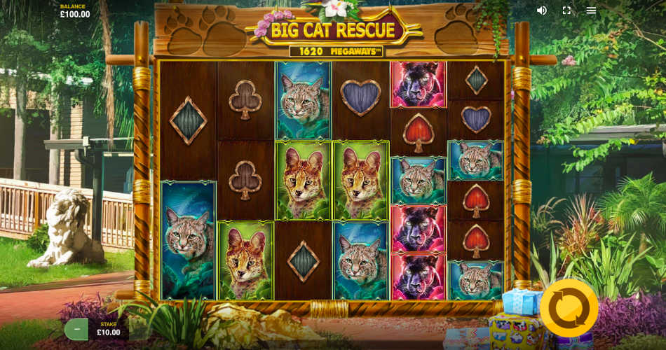 Big Cat Rescue Slot Reels