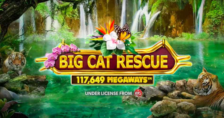 Big Cat Rescue Slot