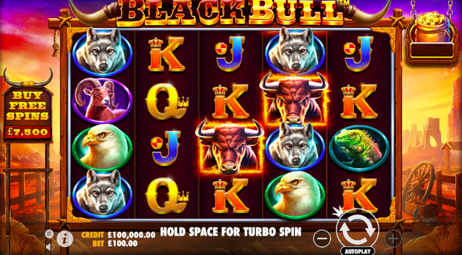 Black Bull Slot Reels